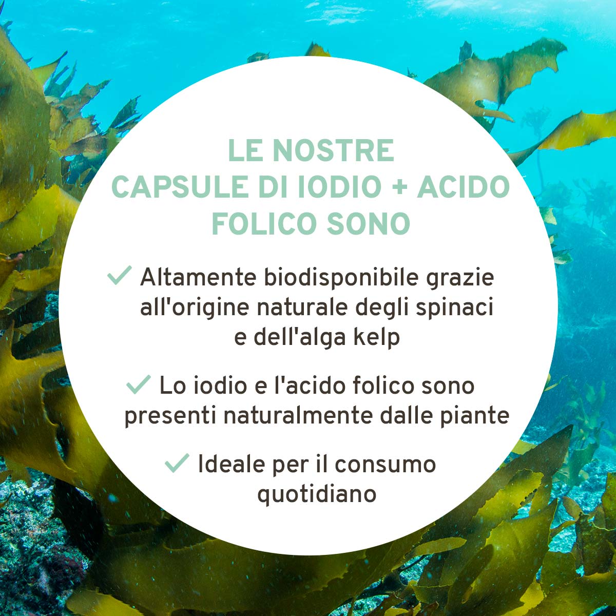 Iodio e acido folico: da alga kelp e spinaci