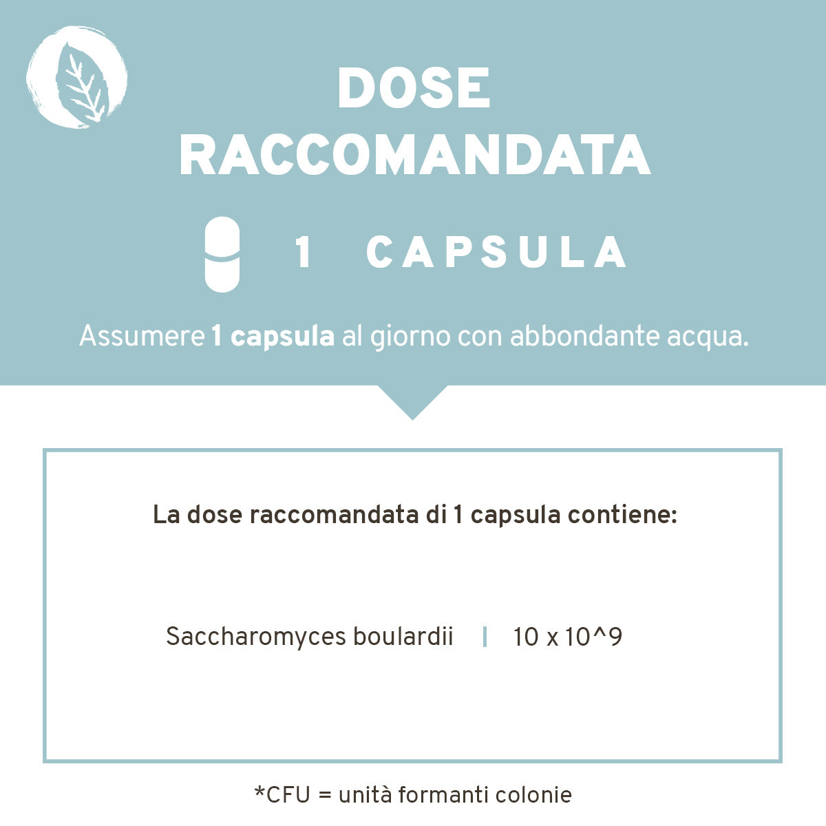 Microbioma Intestinale: Saccharomyces boulardii, in capsule